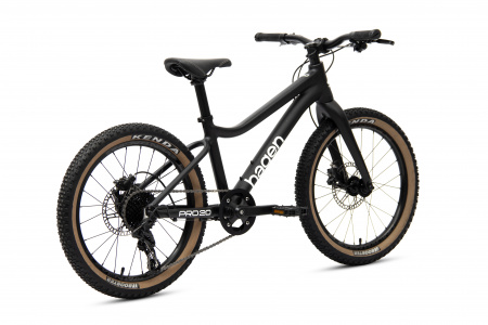 Велосипед HAGEN, Series TP, Teen Pro 20 Carbon, 20, 1x9, 3XS (12), (H24TP20C91HB)