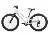 Велосипед Детский Maxiscoo 3BIKE 24'' L Серый (2025)
