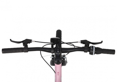 Велосипед Детский Maxiscoo 3BIKE 24'' L Розовый Матовый (2025)