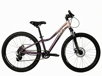 Велосипед STINGER 24'' LAGUNA серебряный, алюминий, размер JR