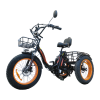 Электротрицикл Kugoo TRIKE, АКБ 15600мАч, 750W 48V, Макс нагрузка 120кг,