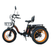 Электротрицикл Kugoo TRIKE, АКБ 15600мАч, 750W 48V, Макс нагрузка 120кг,
